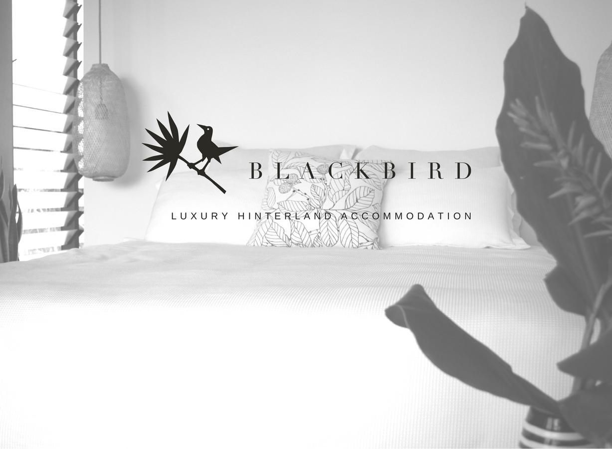 Blackbird Luxury Accommodation Mullumbimby Zewnętrze zdjęcie