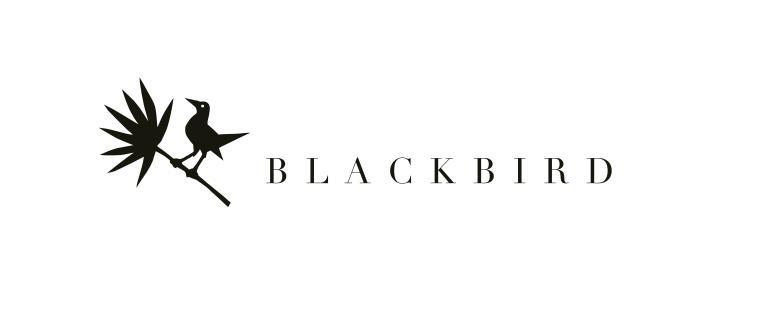 Blackbird Luxury Accommodation Mullumbimby Zewnętrze zdjęcie